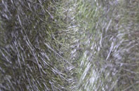 Kinlochbervie fibreglass roof work